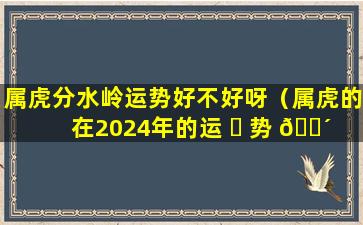 属虎分水岭运势好不好呀（属虎的在2024年的运 ☘ 势 🐴 好不好呢）